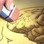 El consumo moderado de cerveza ayudaría a prevenir el Alzheimer 2 alzheimer