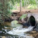 Cerveza elaborada con aguas residuales recicladas supera en cata a ciegas a grandes industriales 3 Proponen verter residuos de la elaboración de cerveza para descontaminar el agua