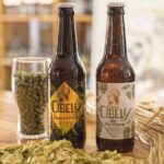 5 beneficios de la cerveza que, probablemente, no sabías 3 5 beneficios de la cerveza que, probablemente, no sabías