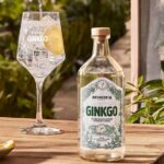 Cerveza Patagonia invita a disfrutar el verano con nuevo gin y propuestas en toda Argentina 2 Ginkgo de Cerveza Patagonia