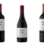 Enólogo recomienda los mejores vinos de invierno y su maridaje 2 Maridaje vino invierno