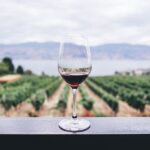 Celebremos al Pinot Noir: Sumérgete en el viaje sensorial de esta versátil cepa 3 Vino Pinot Noir