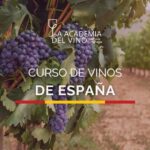 Curso y cata de vinos de España para aprender junto a la Academia del Vino 2 Vinos de España Academia del Vino