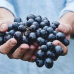 Día Internacional del Carmenere: un homenaje a una de las cepas emblemáticas de Chile 2 Día Internacional del Carmenere