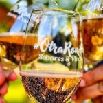 “Sabores & Vinos”: la fiesta vitivinícola que abre la temporada de vendimia en Casablanca 3 Sabores y vinos