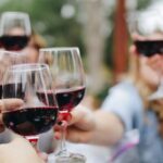 Celebrando el día internacional del Malbec: Una oda a una noble cepa 3 Día Internacional del Malbec