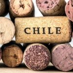 Chile y Brasil avanzan hacia certificación electrónica para exportación de vinos 5 Vinos chilenos