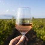 Conoce los mejores vinos Rosé para celebrar su mes junto a La Vinoteca 3 Mes del vino Rosé