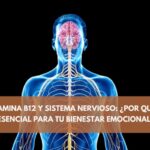 Vitamina B12 y sistema nervioso