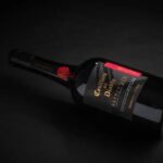 Casillero del diablo Elixir
