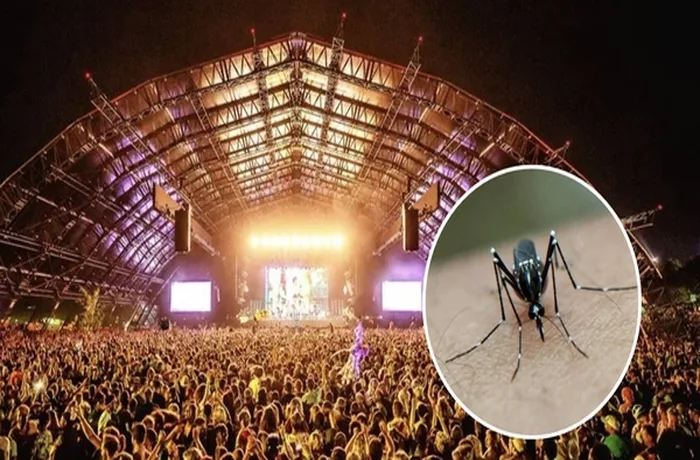 Mosquito picando brazo humano — experimento Mosquito Magnet Trial festival música