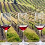California tumba la ley que exigía vino 100% estadounidense en etiquetas nacionales