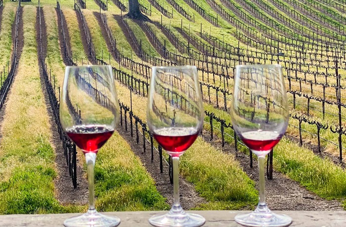 California tumba la ley que exigía vino 100% estadounidense en etiquetas nacionales