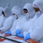 Trump sube al 12,5% el arancel al vino y el salmón chileno en EE.UU.