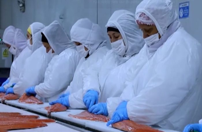 Trump sube al 12,5% el arancel al vino y el salmón chileno en EE.UU.