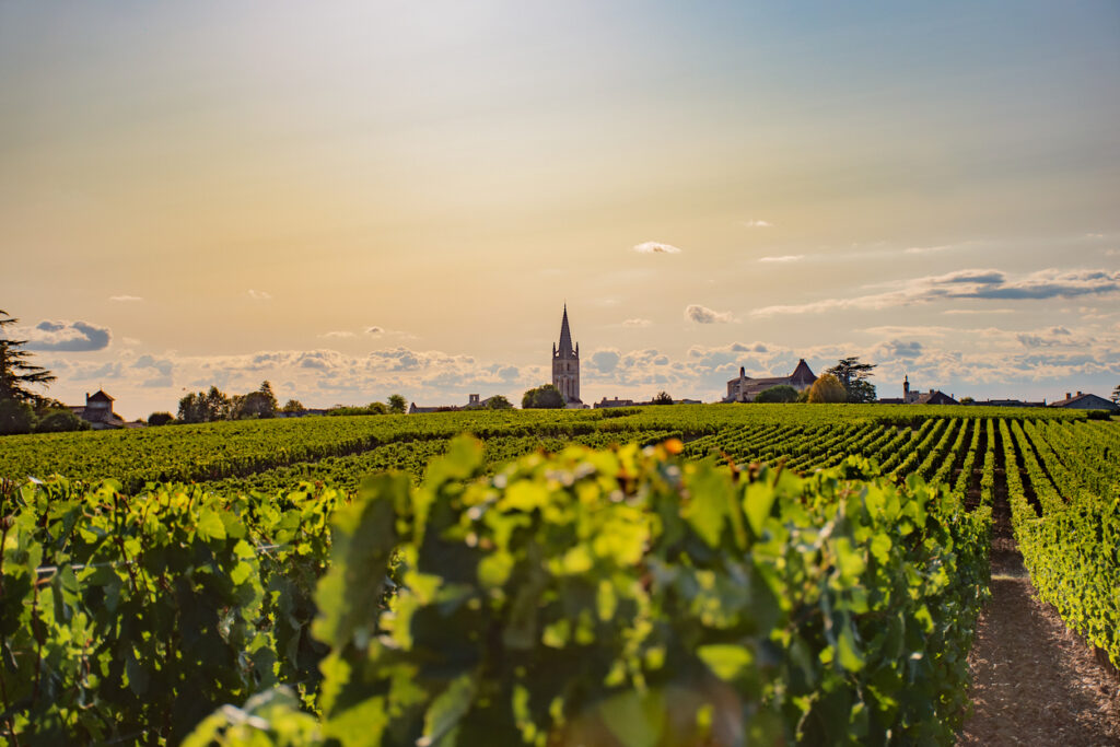 Burdeos vende menos de 3 millones de hectolitros por primera vez en la historia moderna — algunas viñas han perdido el 82% de su valor desde 2018 7 Viñedos de Burdeos con el campanario de Saint-Émilion al fondo, símbolo de la crisis del vino en la región