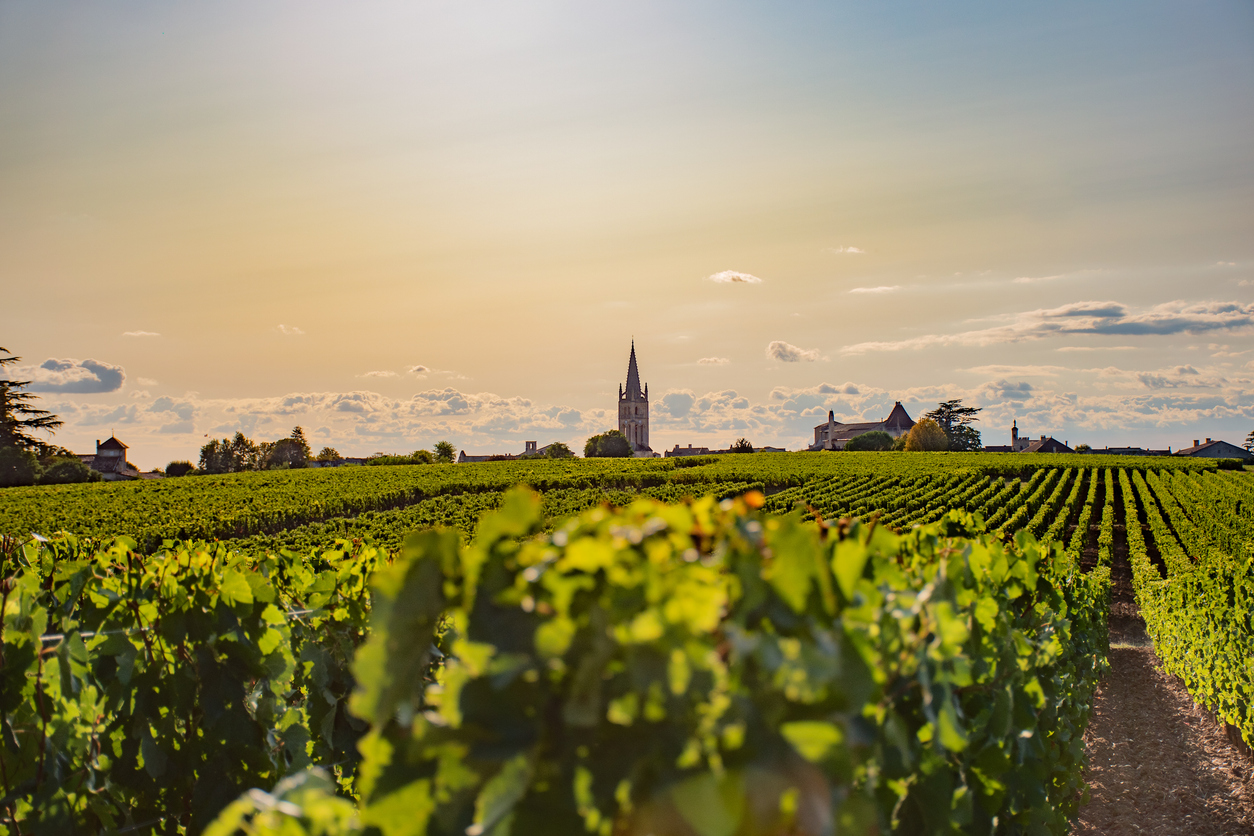 Burdeos vende menos de 3 millones de hectolitros por primera vez en la historia moderna — algunas viñas han perdido el 82% de su valor desde 2018 6 Viñedos de Burdeos con el campanario de Saint-Émilion al fondo, símbolo de la crisis del vino en la región