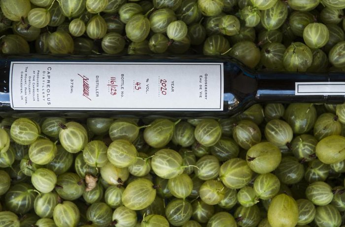 Capreolus: la destilería de los Cotswolds que necesita 62 kg de fruta para producir un litro de eau de vie