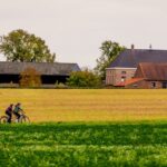 Ciclista en una ruta cervecera de Flandes entre campos de lúpulo — Visit Flandes