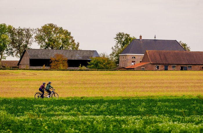 Ciclista en una ruta cervecera de Flandes entre campos de lúpulo — Visit Flandes