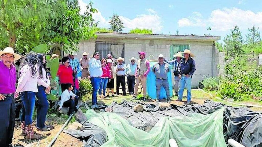 En Almoloya, Hidalgo, la levadura residual de cerveza se convierte en trece bioinsumos para el campo 2 En Almoloya, Hidalgo, la levadura residual de cerveza se convierte en trece bioinsumos para el campo