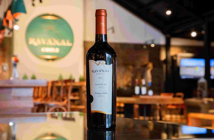 Marselan, la cepa francesa que desafía el cambio climático y abre una nueva era para el vino chileno