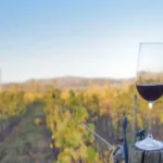 Mendoza rechaza la reforma de la Ley General de Vinos: el sector alerta por la trazabilidad, el fraccionamiento y la mezcla con importados