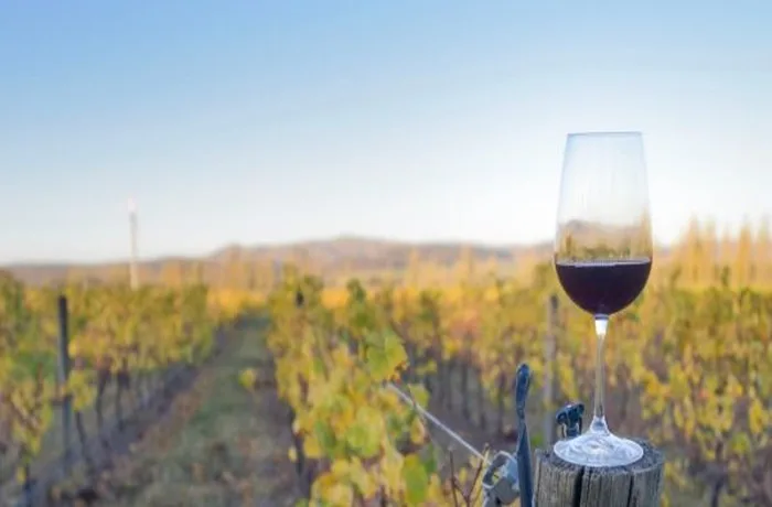 Mendoza rechaza la reforma de la Ley General de Vinos: el sector alerta por la trazabilidad, el fraccionamiento y la mezcla con importados