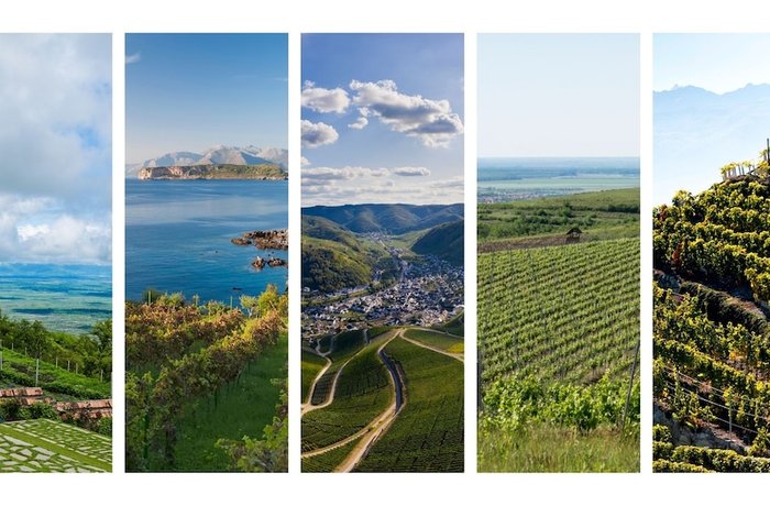 Las cinco regiones vinícolas más bellas de Europa nominadas al TRAVELBOOK Award 2026 3 Las cinco regiones vinícolas más bellas de Europa nominadas