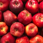 Manzanas rojas asturianas para elaborar sidra natural — Llagar Contrueces, Gijón