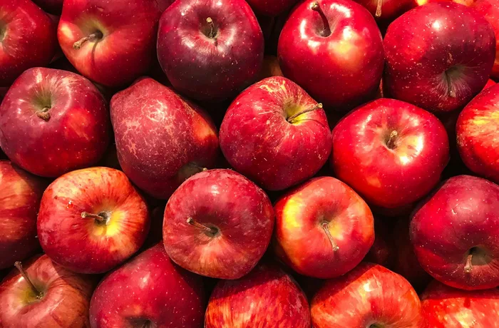 Manzanas rojas asturianas para elaborar sidra natural — Llagar Contrueces, Gijón