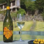 La temperatura perfecta para servir vino blanco en cada estación del año