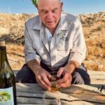 Investigadores israelíes recrean el vino nabateo del Néguev a partir de semillas de uva de 1.500 años halladas en Avdat 2 Viñedo de Avdat en el desierto del Néguev vino nabateo bizantino Israel