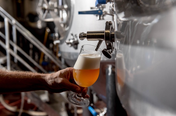 La ciencia detrás de la cerveza perfecta