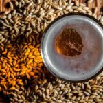 El papel fundamental de la malta en la elaboración de la cerveza