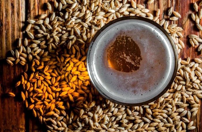 La importancia de la malta en la elaboración de cerveza