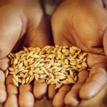 ¿Quienes dominan el mercado cervecero industrial en Perú?