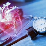 Cerveza y presión arterial: efectos reales del consumo moderado