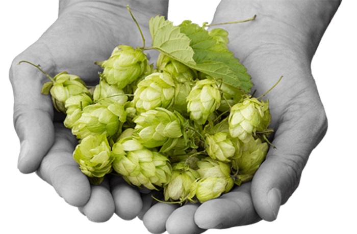 Qué es el dry hopping