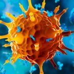 Cerveza y sistema inmune: qué dice la evidencia científica 4 Cerveza y sistema inmune: qué dice la evidencia científica