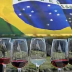 Botellas de vino chileno y argentino listas para exportar a Brasil