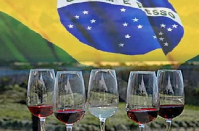 Botellas de vino chileno y argentino listas para exportar a Brasil