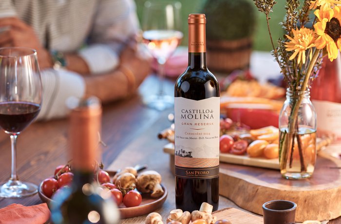 Castillo de Molina Gran Reserva, tintos chilenos para el Dia del Vino Tinto