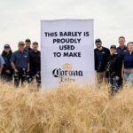 Constellation Brands invertirá USD 100 millones para apoyar a agricultores estadounidenses