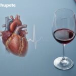 ¿El vino protege el corazón? Lo que dice la evidencia actual