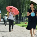 Corea del Norte recomienda tomar cerveza para combatir el calor extremo 4 Corea del Norte recomienda tomar cerveza para combatir el calor extremo
