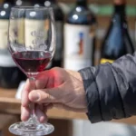 Día del Vino 2026 reunirá a más de 40 viñas en el MUT