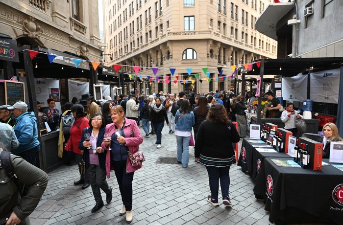 dia nacional vino santiago barrio la bolsa