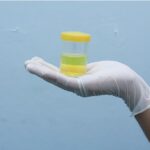 Cerveza y diuresis: por qué te deshidrata y cómo evitarlo en verano 6 Cerveza y diuresis: por qué te deshidrata y cómo evitarlo en verano