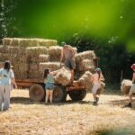 Un laberinto de paja en Lleida regala cerveza artesanal con miel a quien encuentre la salida
